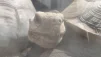 Ogyzok_911