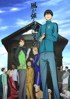 Почувствуй ветер