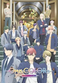 Опус. Цвета